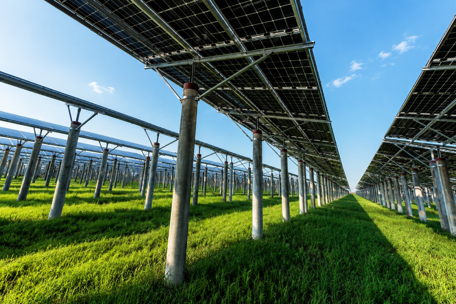 Agri-photovoltaic
